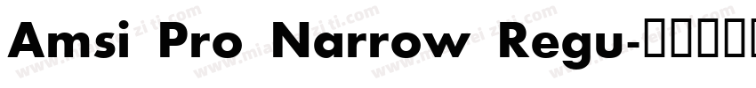 Amsi Pro Narrow Regu字体转换